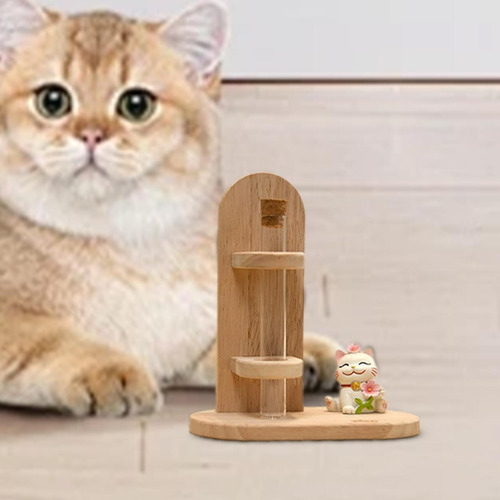 Caja De Almacenamiento De Bigotes De Gato, Tarro De Estilo B