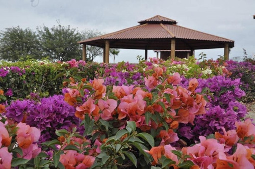 Venta De Lote En Privada Colinas De Altata