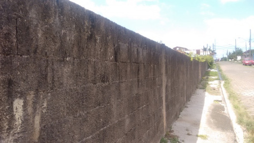 Imagem 3 de 4 de Terreno - 543 - 33566681