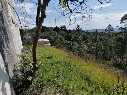 Imagem 5 de 19 de Chácara Com 1 Dormitório À Venda, 1750 M² Por R$ 170.000,00 - Hortolândia - Mairiporã/sp - Ch0478