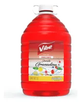 Comprar Jarabe Granadina Vibe 5 Litros Endulzante Coctelería Premium