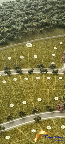 Imagem 6 de 15 de Terreno No Viverde I - 1499