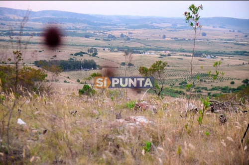 Imagen 8 de 13 de El Cerro