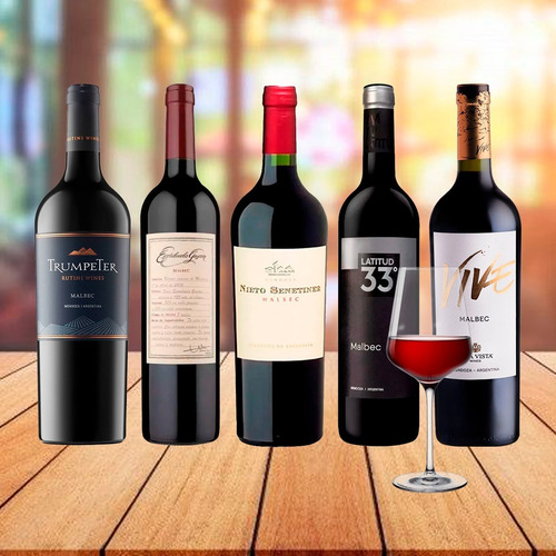 Imagen 7 de 10 de Combo X5 Vinos Seleccionados Malbec