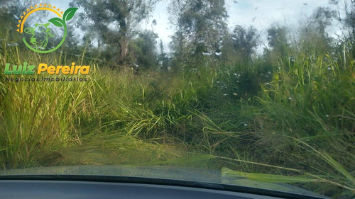 Imagem 5 de 15 de Fazenda À Venda Em Santa Tereza Do Tocantins-to-de 166 Alqueirões(pecuária) - 1692