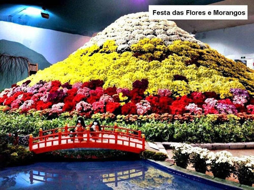 Imagem 25 de 30 de Chácara Em Jardim Paraíso Da Usina, Atibaia/sp De 500m² 2 Quartos À Venda Por R$ 455.000,00 - Ch946743-s