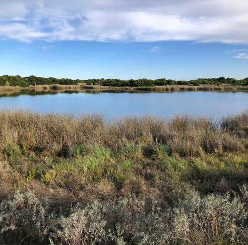 Lote Venta Punta Medanos 1224 Metros