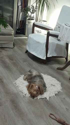 Alfombras Tejidas Handira , Circular, Artesanal 50 Cm 50 Cm Geométrico Crudo