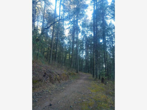Imagen 3 de 11 de Terreno En Venta Exclusivo Fraccionamiento Campestre Para Su Cabaña