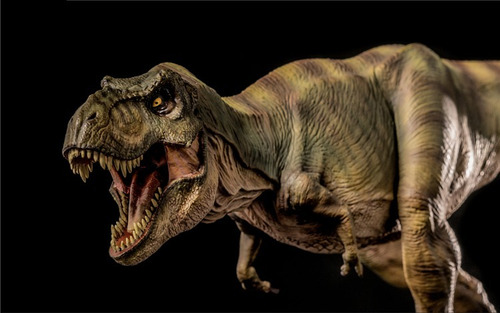 Tiranosaurio Rex Buck - Diseño Alta Calidad (incluye Base)