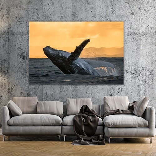 Cuadro Decorativo Animales Canvas Lienzo Ballena Gozando