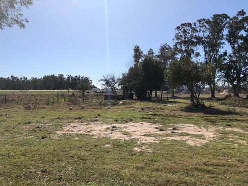 Imagen 4 de 7 de Campo - San Vicente