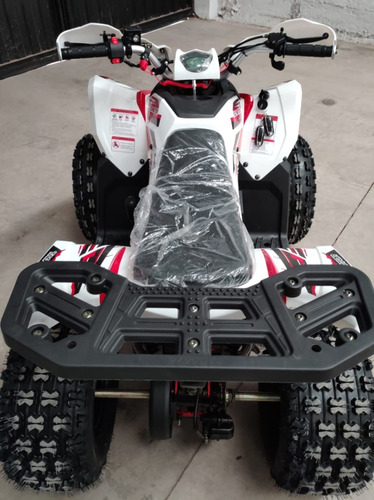 Imagen 7 de 20 de Cuatrimoto Coyote 125cc Automatica 0 Klm 2023