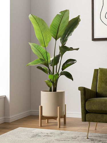 Maceta De Cerámica De 30 Cm Para Plantas Interiores