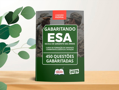 Apostila Esa 2025 - Caderno De Questões Gabaritadas Para Curso De Formação De Sargento - Combatente - Logística E Aviação - Editora Opção