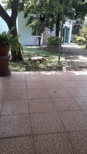 Quinta Campestre En Mil Encinos