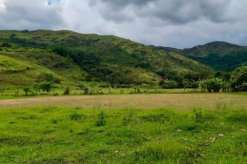 Imagen 8 de 10 de Fd Asein P1454 Vende Hermosa Finca En Chirgua Sector El Leon Municipio Bejuma Del Edo. Carabobo