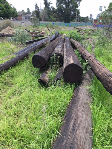 Postes Madera De 12 A 15 Metros Ubicados En Tizayuca Hidalgo Cafe