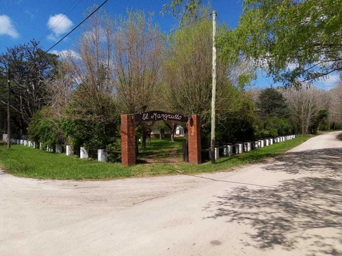 Emblemática Residencia Balneario El Mangrullo (retasado)