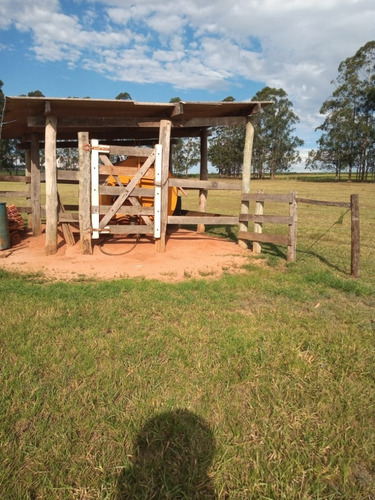 Imagem 17 de 30 de Fazenda À Venda Em Echaporã/sp - Fa00113 - 68992877