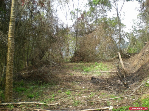 Imagen 5 de 12 de Venta De Terreno En San Jose De Los Altos Edo Miranda Rzxx