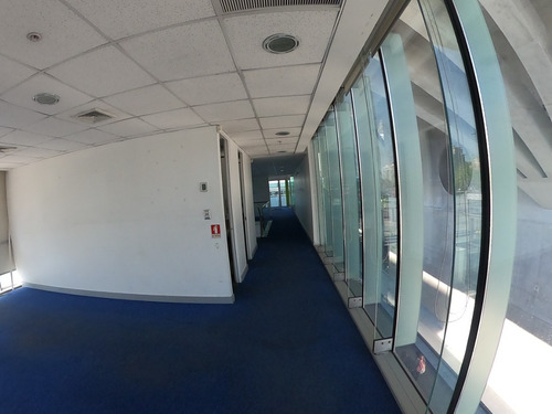 Espectacular Local Comercial De 238m2 En Arriendo