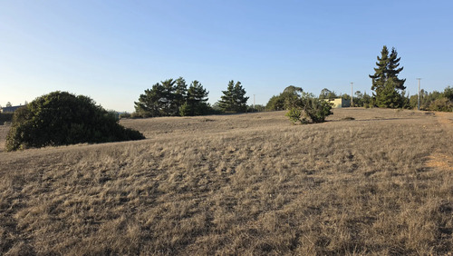 Parcelas Planas En Algarrobo Norte En Condominio Consolidado