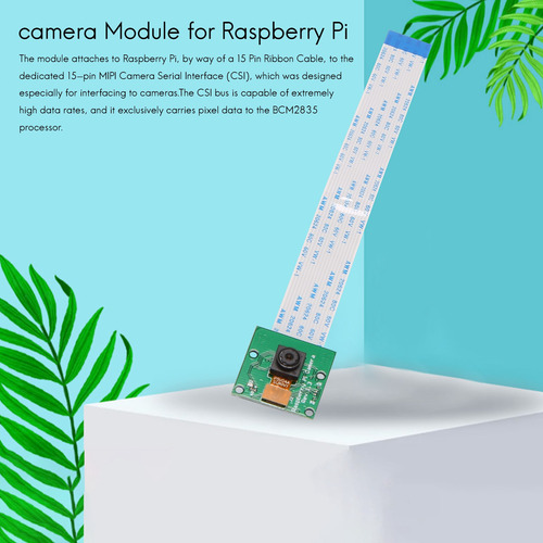 Placa De Módulo De Cámara Web De 5 Mp Para Zero W/zero/