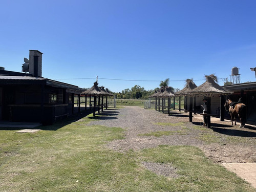 Imagen 3 de 21 de Venta Ideal Inversores (local Gastronimico-caballerizas) - La Reja Sur