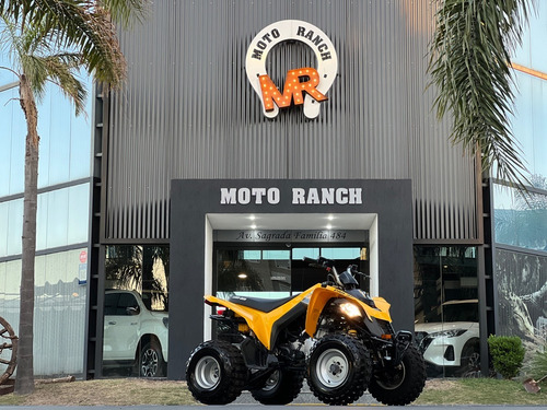 Imagen 3 de 11 de Can-am Ds 250 2017 Automatico 4x2, Igual A 0km !