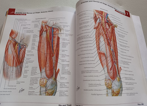 Atlas De Anatomía Humana - Frank H. Netter, 6ta Ed. Inglés (Usado)