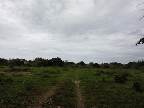 Venta Terreno 6 Has. Santiago De La Peña Tuxpan Veracruz