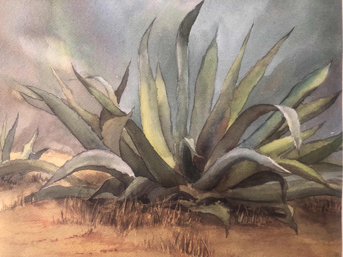 Litografía Maguey Firmado En Plancha Por Autor