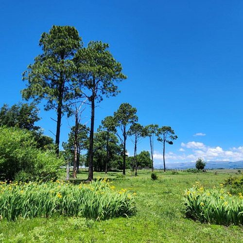 Campito De 15 Ha En Villa Yacanto (con Vertiente Y Arroyo)