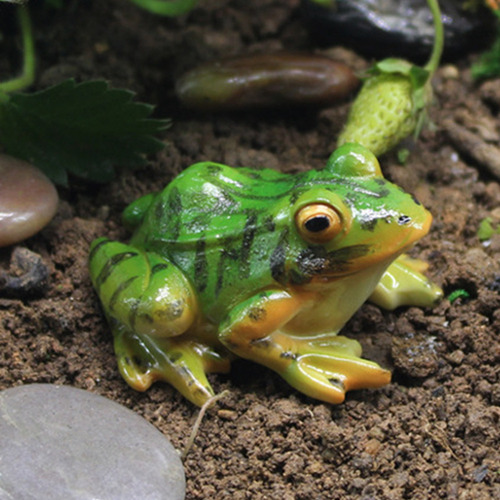 Estatua De Paisaje De Rana Sapo Sapos Anfibios Ranas