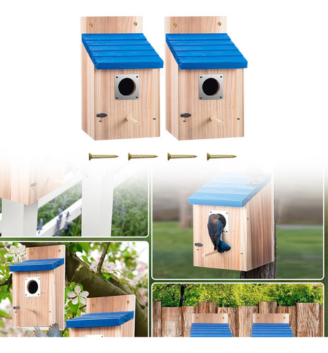 Casa De Pájaros Aviario Creativo De Decoración De Techo
