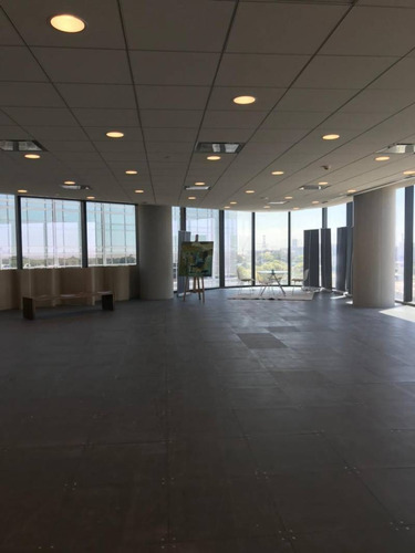 Imagen 13 de 20 de Oficinas Alquiler Catalinas