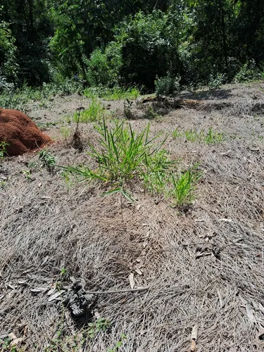 Vende-se Terreno Santana De Parnaiba