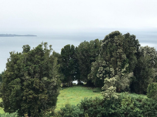 Se Vende Parcela Con Casa En Ancud