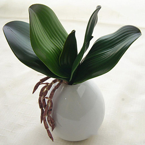3 Hoja De Orquídea Artificial -17 Cm