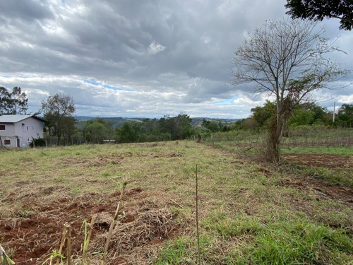 Chácara 10.000 M² - Lomba Grande - Novo Hamburgo - Rs - 2117 - 33898402