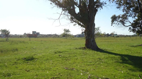 Imagen 11 de 16 de Terreno San Clemente Del Tuyú, Barrio Playa Grande Con Arboles. Escritura Inmediata