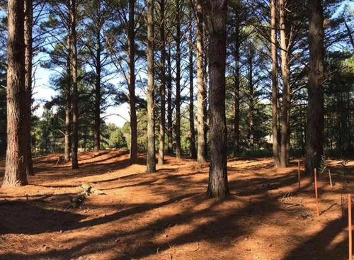 Terreno En Venta - 2.630mts2 - Carmelo, Uruguay