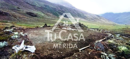 Finca Agrícola Gavidia - Mucuchies