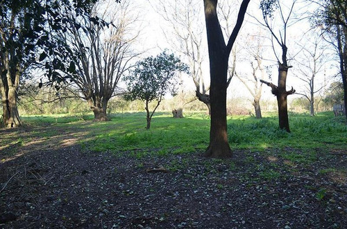 Imagen 13 de 17 de Terreno Para Empredimiento Manzanares 15 Hectareas