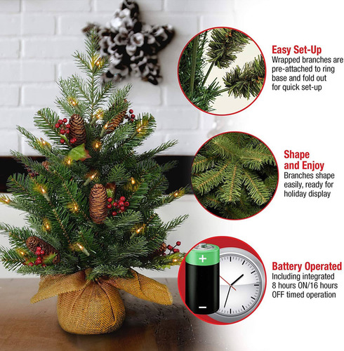 Nacional Del Árbol De La Compañía - Mini Árbol De Navidad Ar