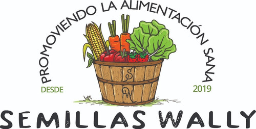 500 Semillas De Brocoli Planta Y Cosecha El Super Alimento