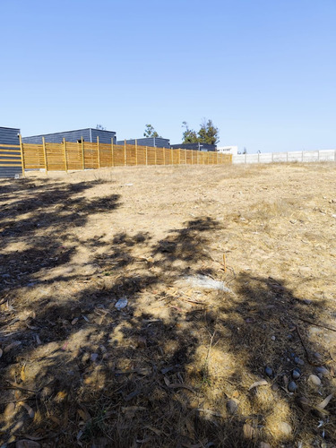 Sitios 800m2 Las Gaviotas Planos Concon