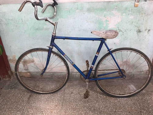 Bicicleta Pastoriza T24