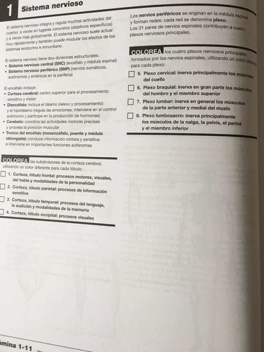 Imagen 8 de 9 de Netter. Cuaderno De Anatomía Para Colorear 2a Revisada!!